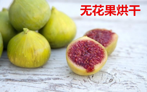 资阳无花果烘干房